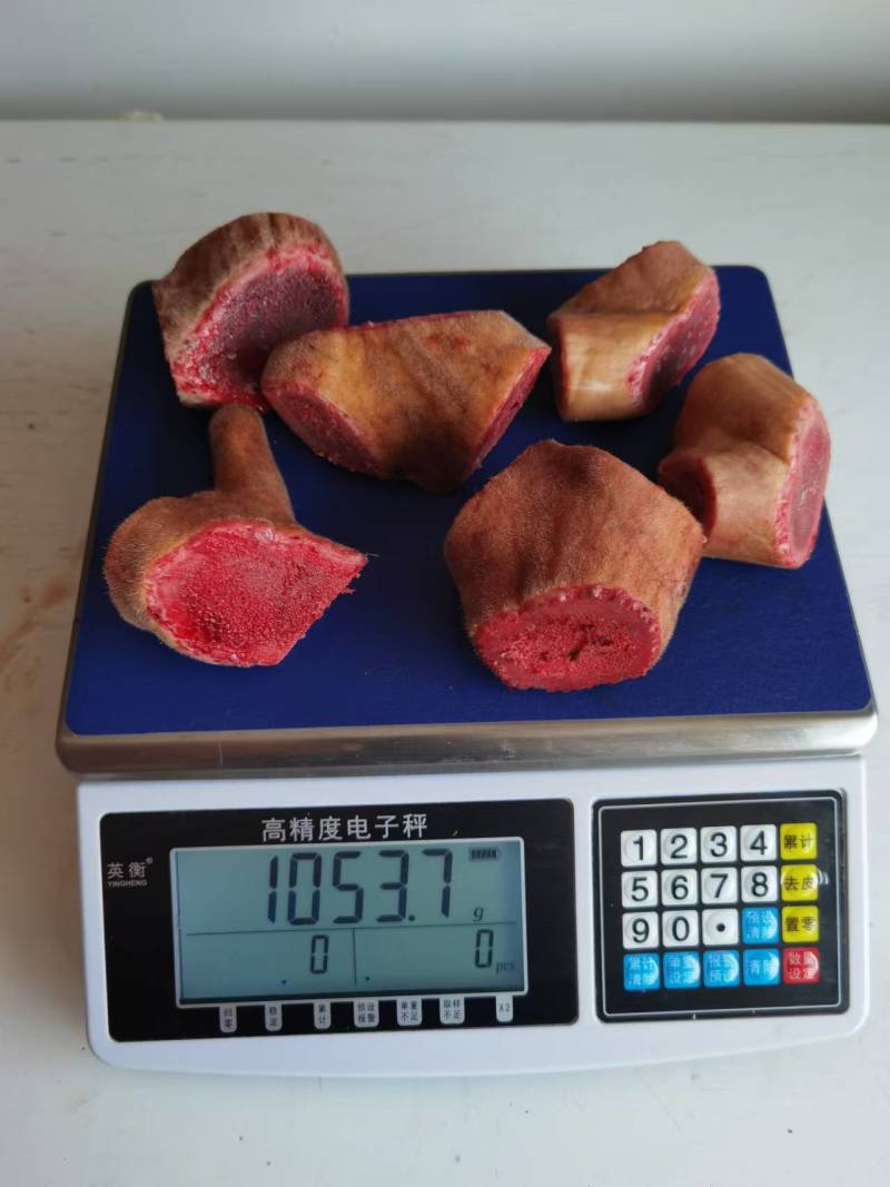 鹿茸头鹿茸段鹿茸片批发鹿茸实惠片整只鹿茸电商一件代发