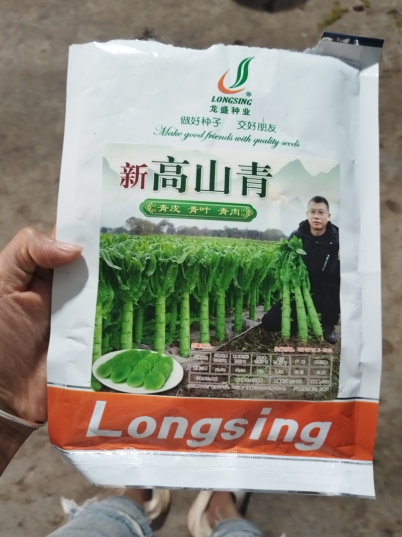 精品三青莴笋苗一手货源量大从优欢迎咨询