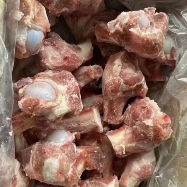 多肉大棒骨