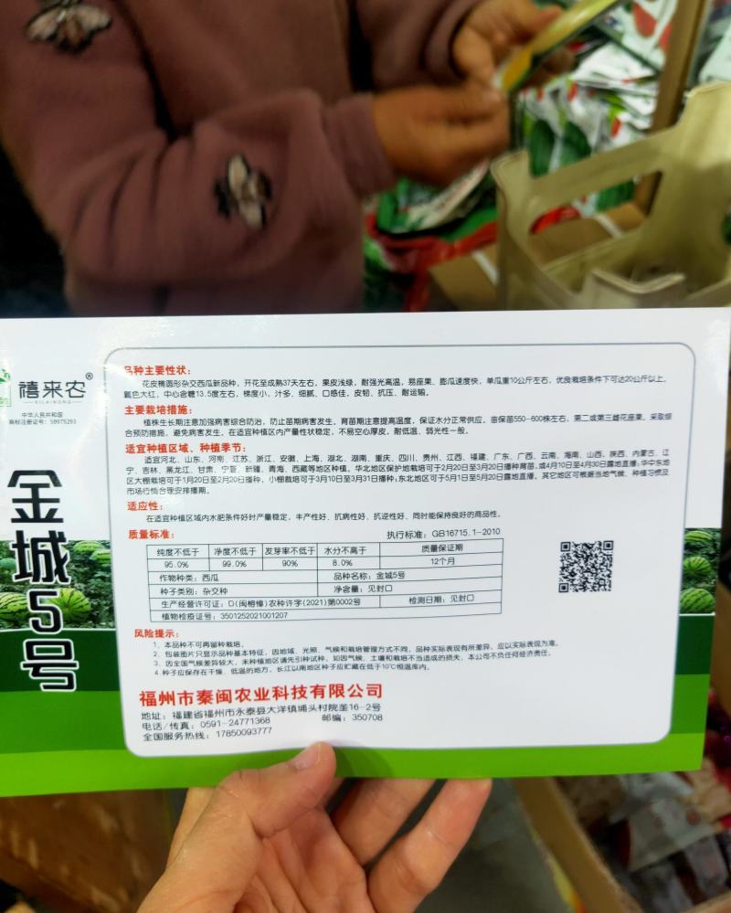 金城5号西瓜种子汁多细腻花皮椭圆形抗压耐运输