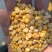 豆瓣碎豆瓣大量现货饲料级养殖添加用
