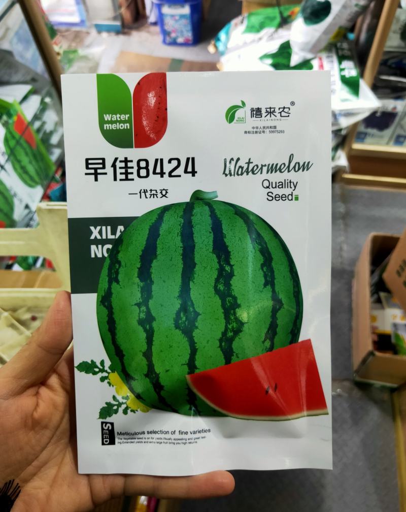 早佳8424西瓜种子早熟肉质细嫩多汁果肉红色抗病性好