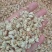 玉米芯可定制目数种植用改善基质。养殖添加垫料等