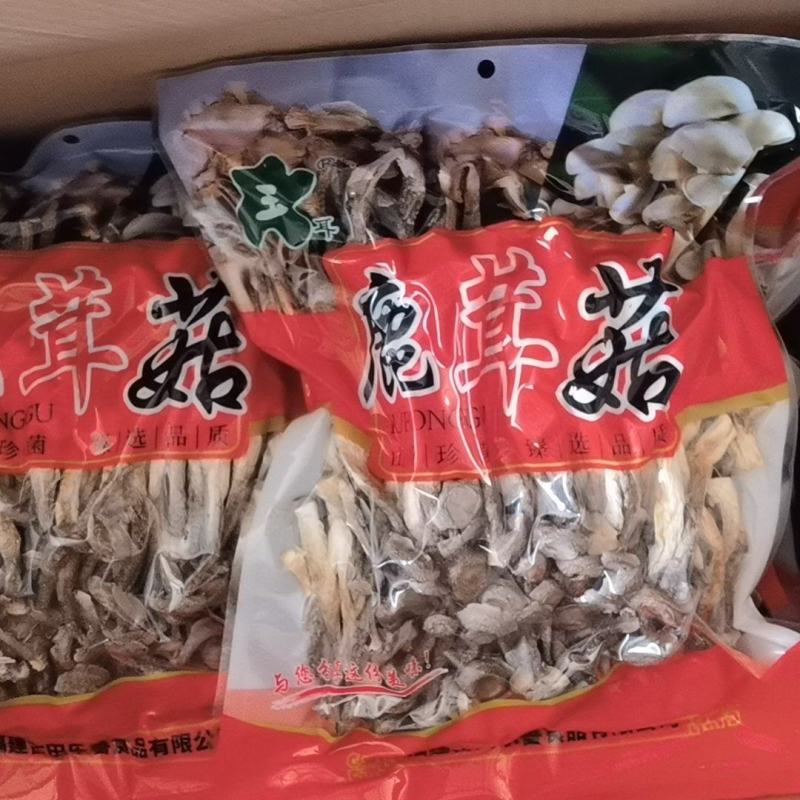 精品鹿茸菇大量上市规格齐全品质保证欢迎来电