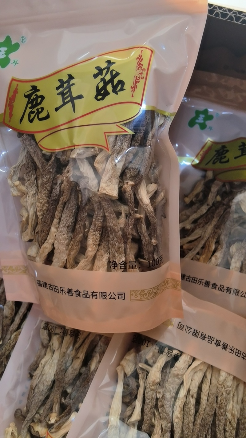 精品鹿茸菇大量上市规格齐全品质保证欢迎来电