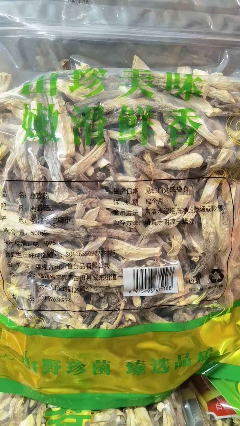 精品鹿茸菇大量上市规格齐全品质保证欢迎来电