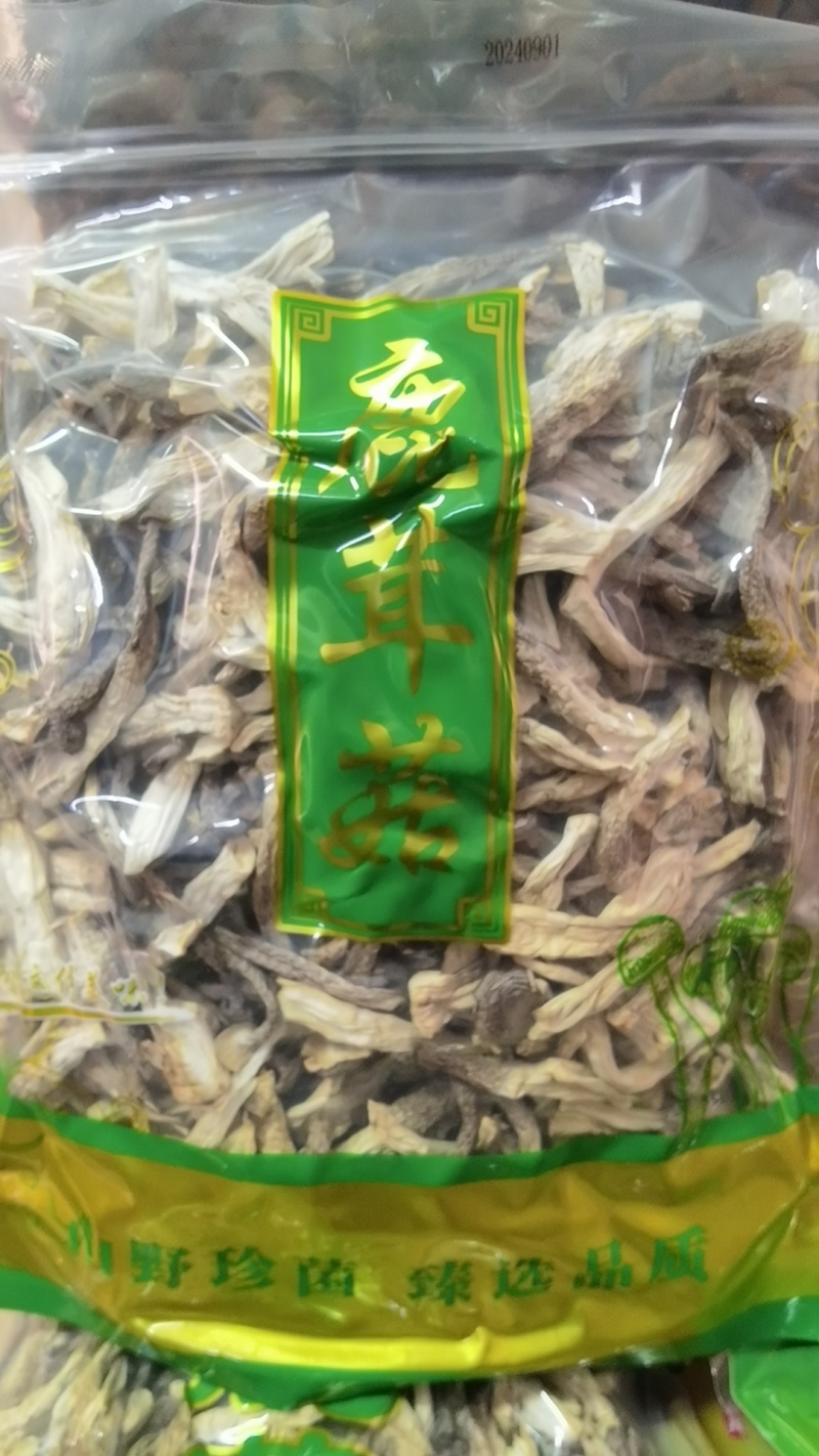 精品鹿茸菇大量上市规格齐全品质保证欢迎来电