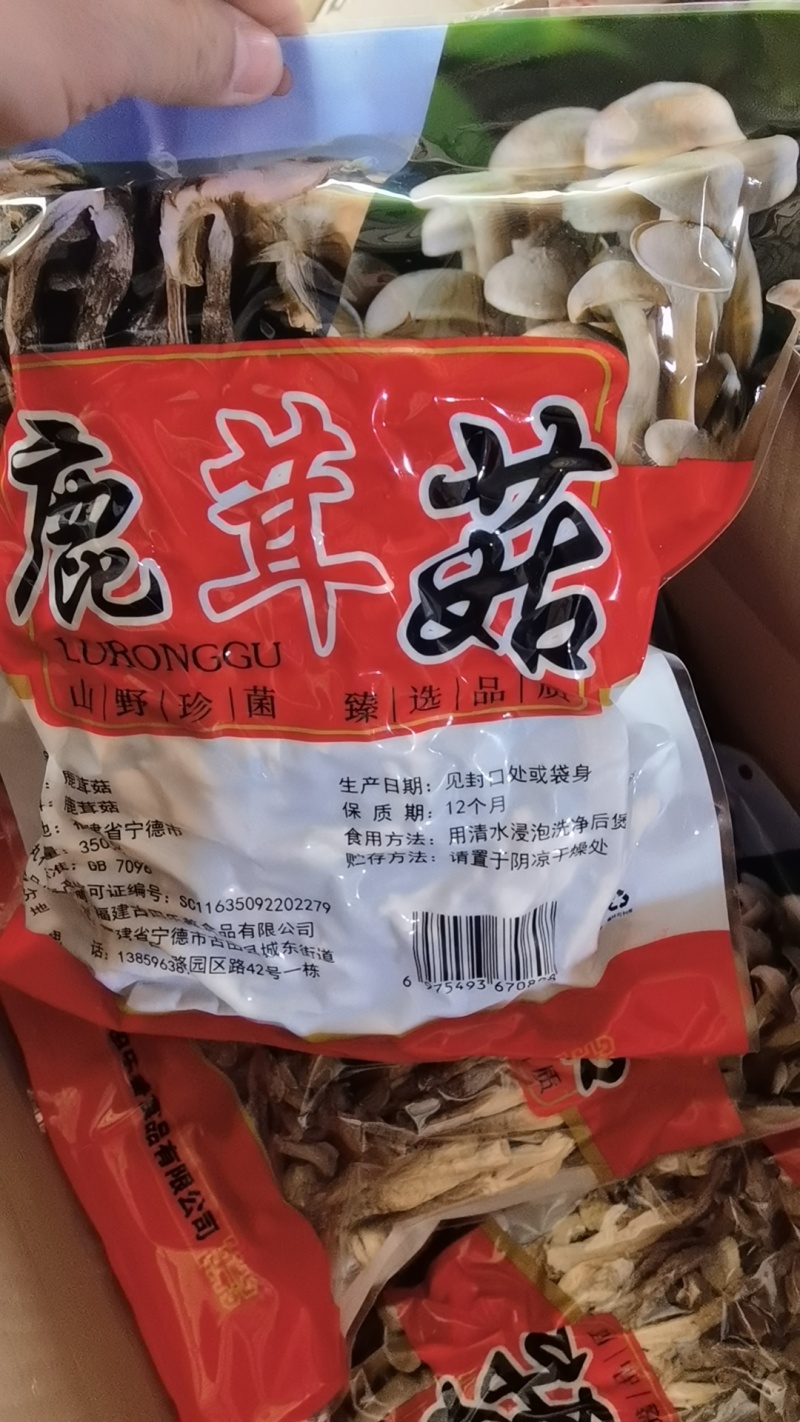 精品鹿茸菇大量上市规格齐全品质保证欢迎来电