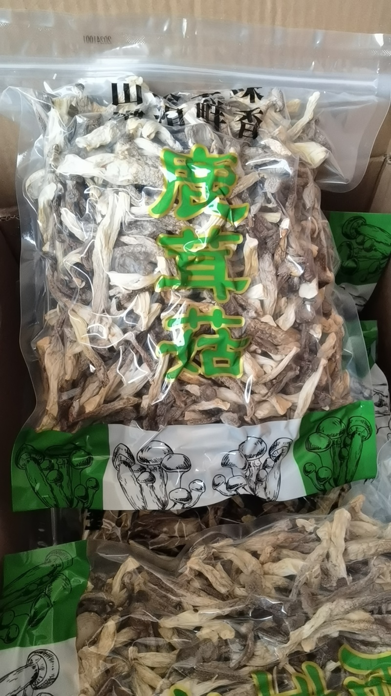 精品鹿茸菇大量上市规格齐全品质保证欢迎来电