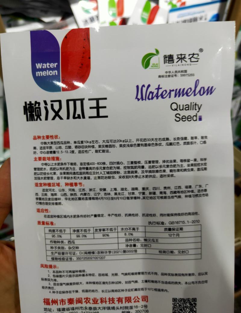 懒汉西瓜种子中熟椭圆形瓜瓤红色质脆多汁口感好耐运输