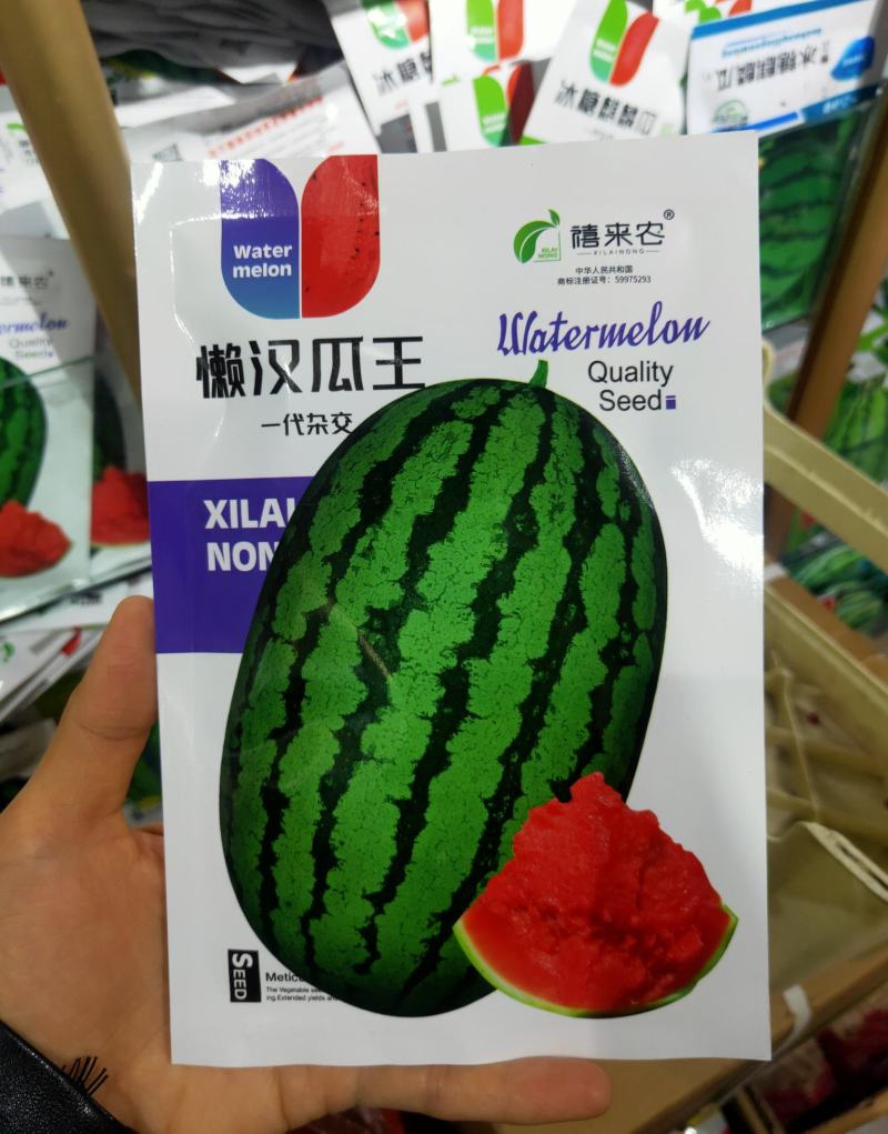 懒汉西瓜种子中熟椭圆形瓜瓤红色质脆多汁口感好耐运输