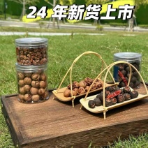 临安山核桃