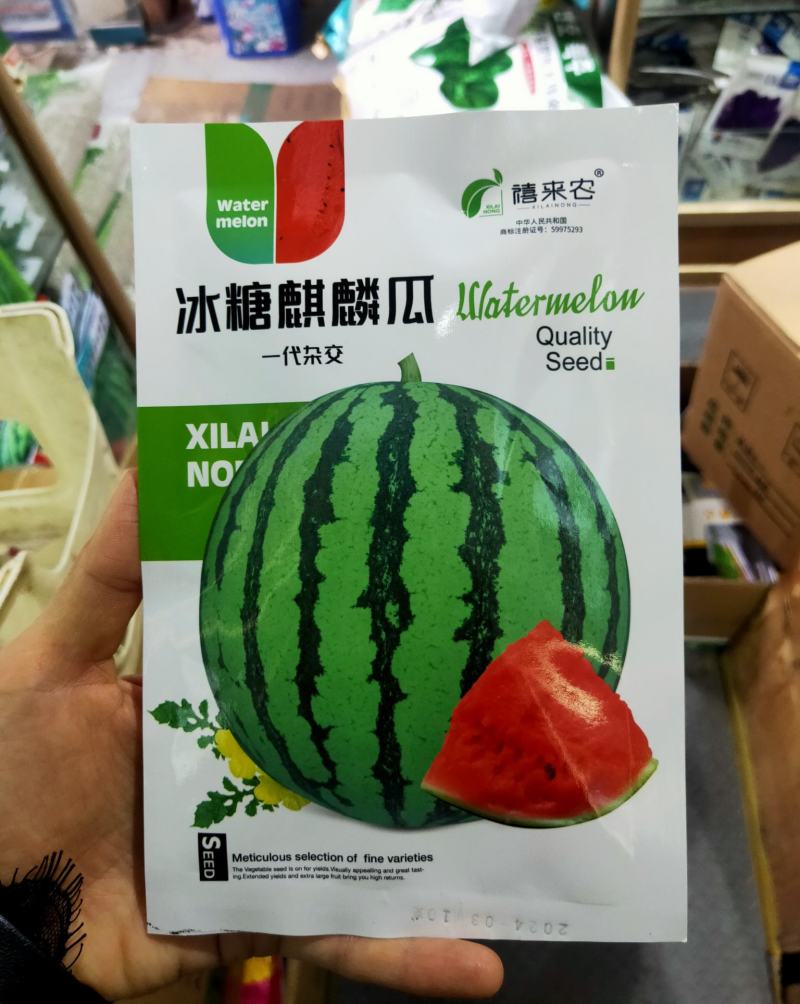 冰糖麒麟西瓜种子早熟瓤色鲜红质脆多汁口感好皮薄果实圆形