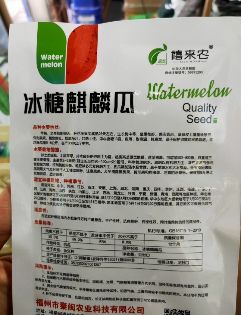 冰糖麒麟西瓜种子早熟瓤色鲜红质脆多汁口感好皮薄果实圆形
