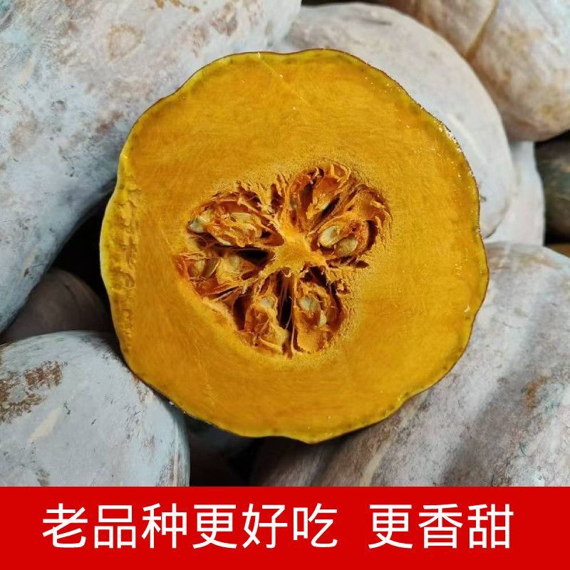 山东老南瓜，产地笨南瓜，便宜南瓜，山坡黄南瓜，好吃批发。