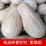 山东老南瓜，产地笨南瓜，便宜南瓜，山坡黄南瓜，好吃批发。