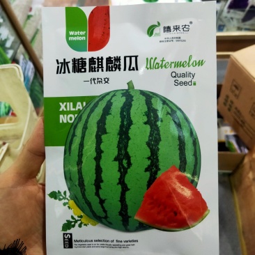 冰糖麒麟西瓜种子早熟瓤色鲜红质脆多汁口感好皮薄果实圆形