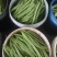 扁豆大扁聊城绿扁豆商超配菜货源稳定代收代发全国市场