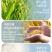 五常大米安家核心产区原粮稻花香二号精品礼盒。
