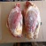 牛腱龟腱排腱牛腱子