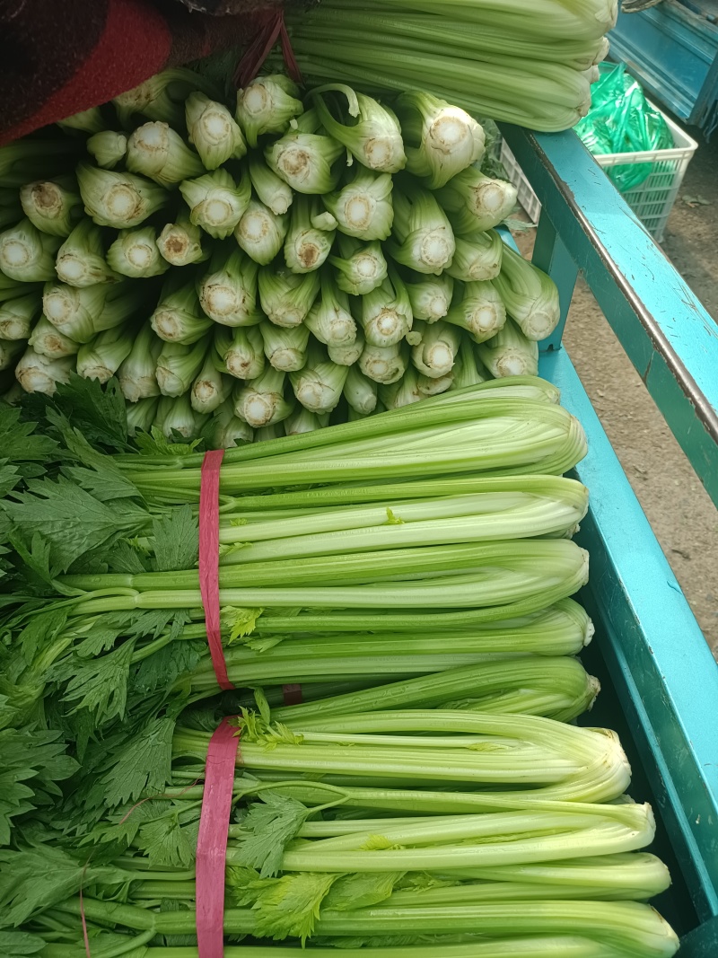 西芹
