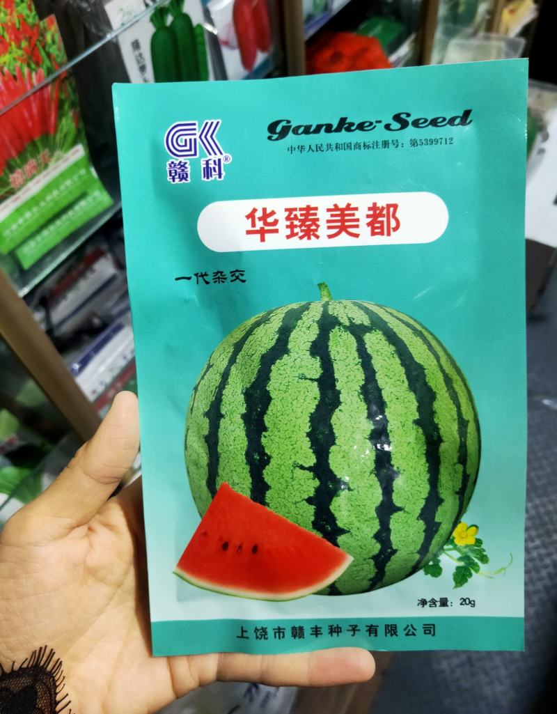 华臻美都西瓜种子中早熟口感好瓤色红果型圆脆甜多汁