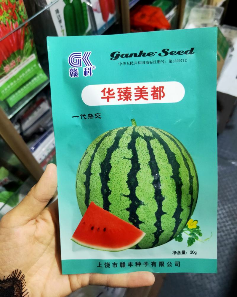 华臻美都西瓜种子中早熟口感好瓤色红果型圆脆甜多汁