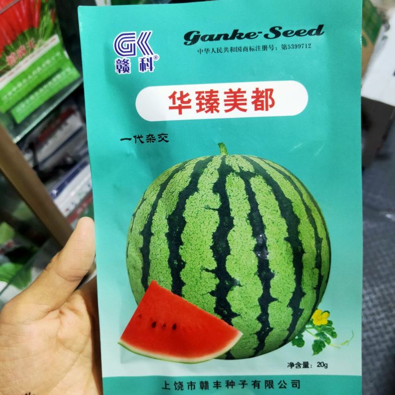 华臻美都西瓜种子中早熟口感好瓤色红果型圆脆甜多汁