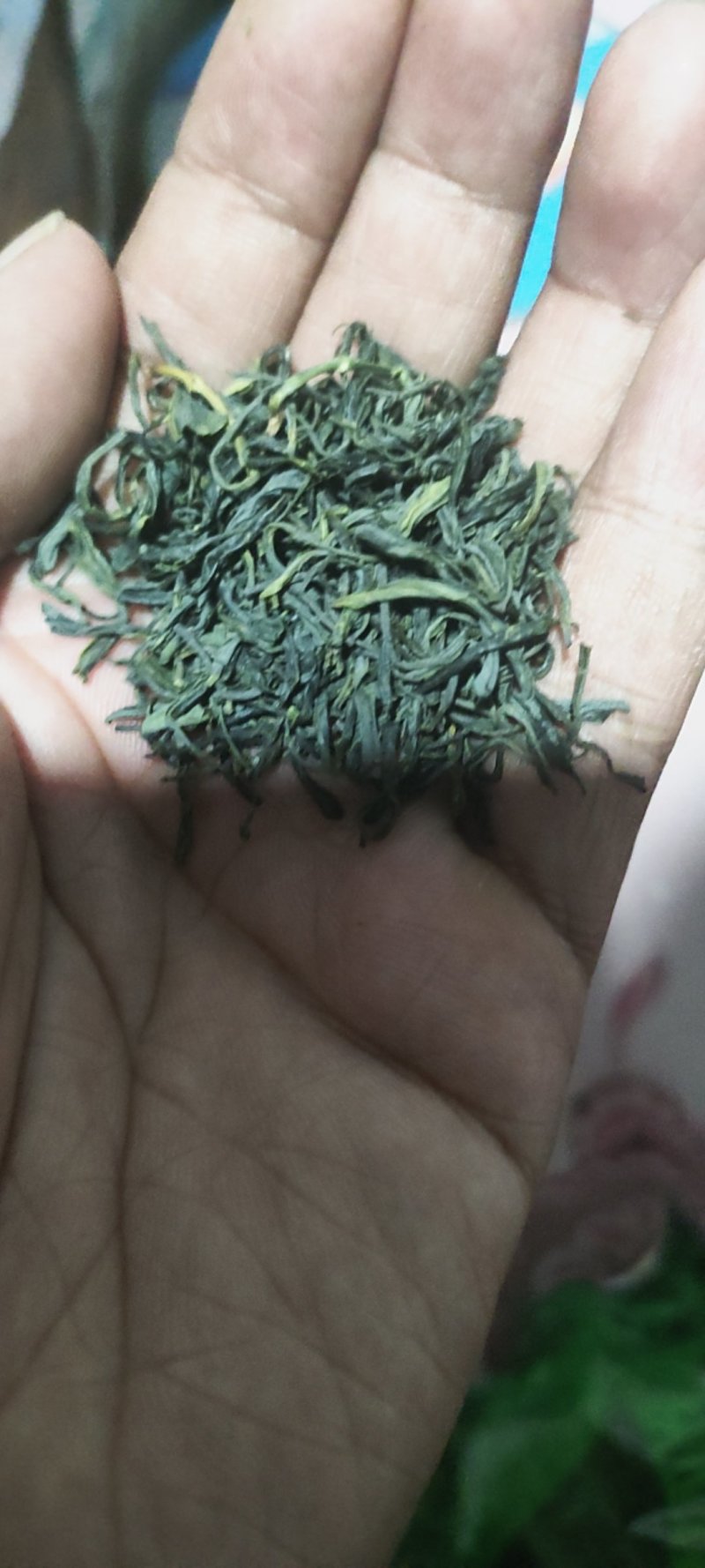 湖北高山绿茶