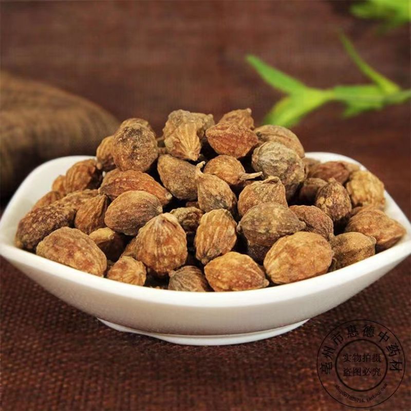 益智仁中药材正品泡水非益智仁茶益智