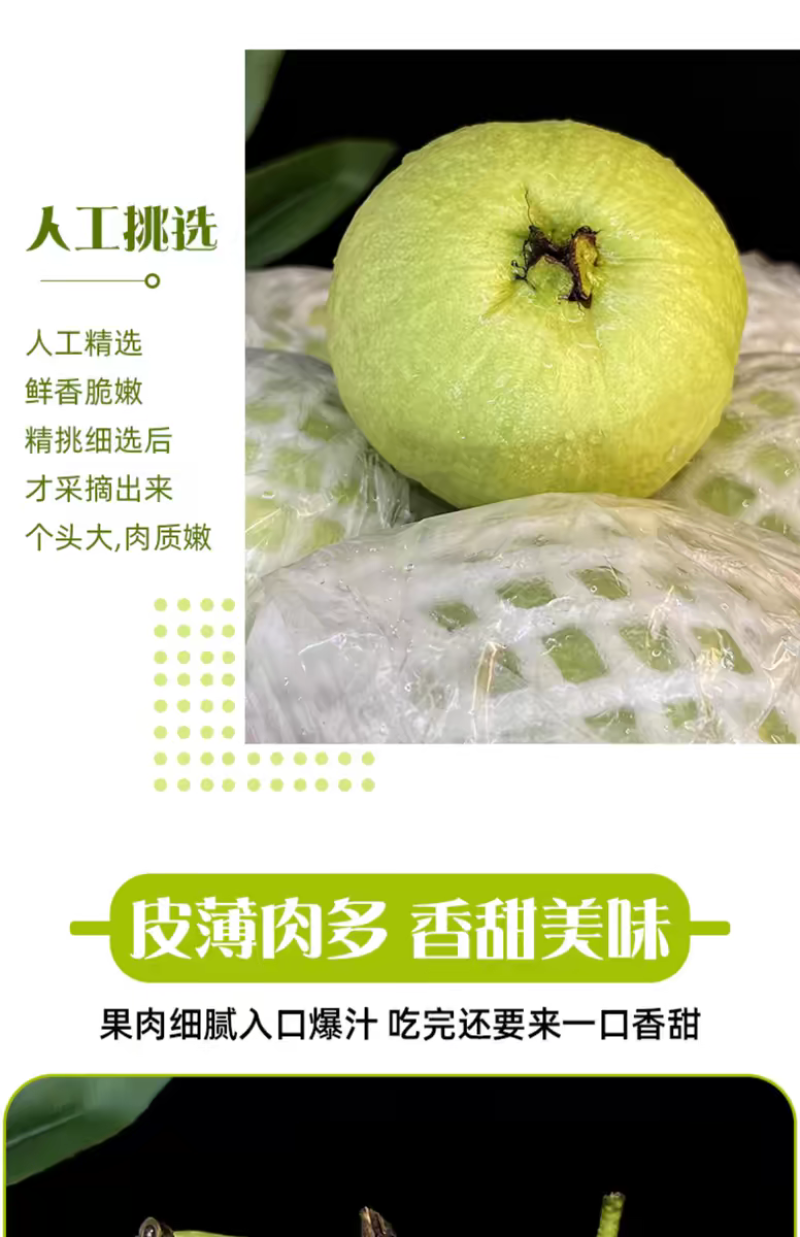 白心芭乐白肉番石榴新鲜现摘现发电商市场商超代办发货保质量
