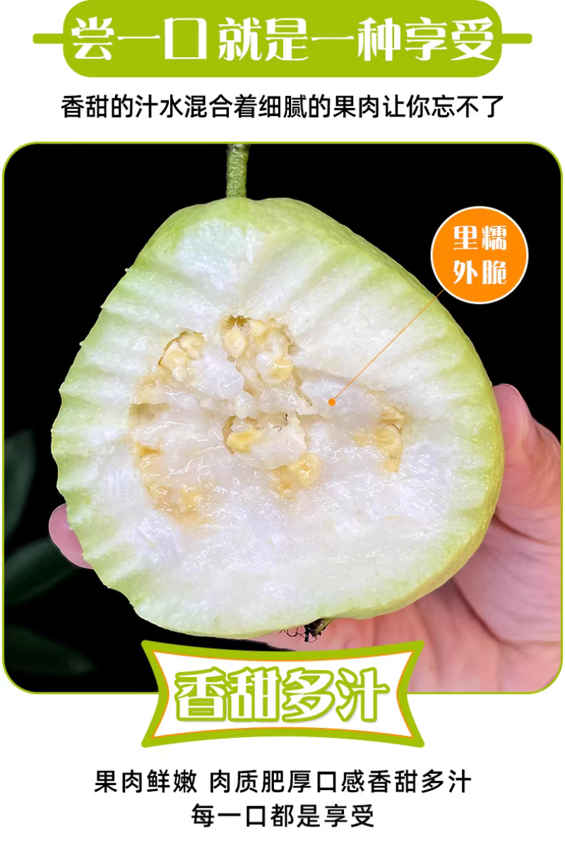 白心芭乐白肉番石榴新鲜现摘现发电商市场商超代办发货保质量
