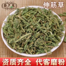 伸筋草伸筋草