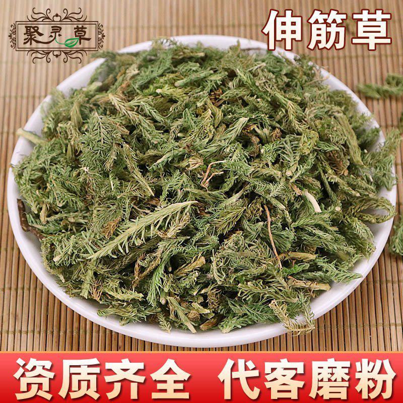 伸筋草伸筋草