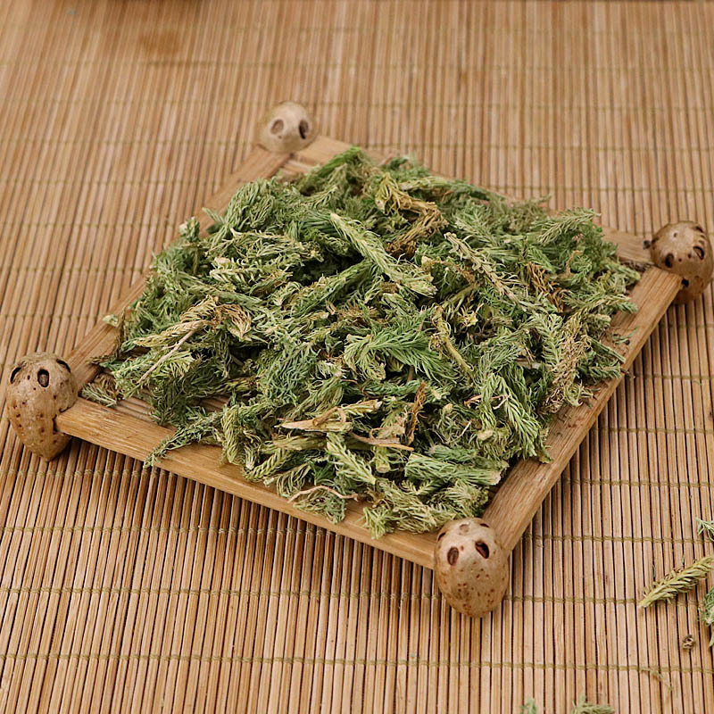 伸筋草伸筋草