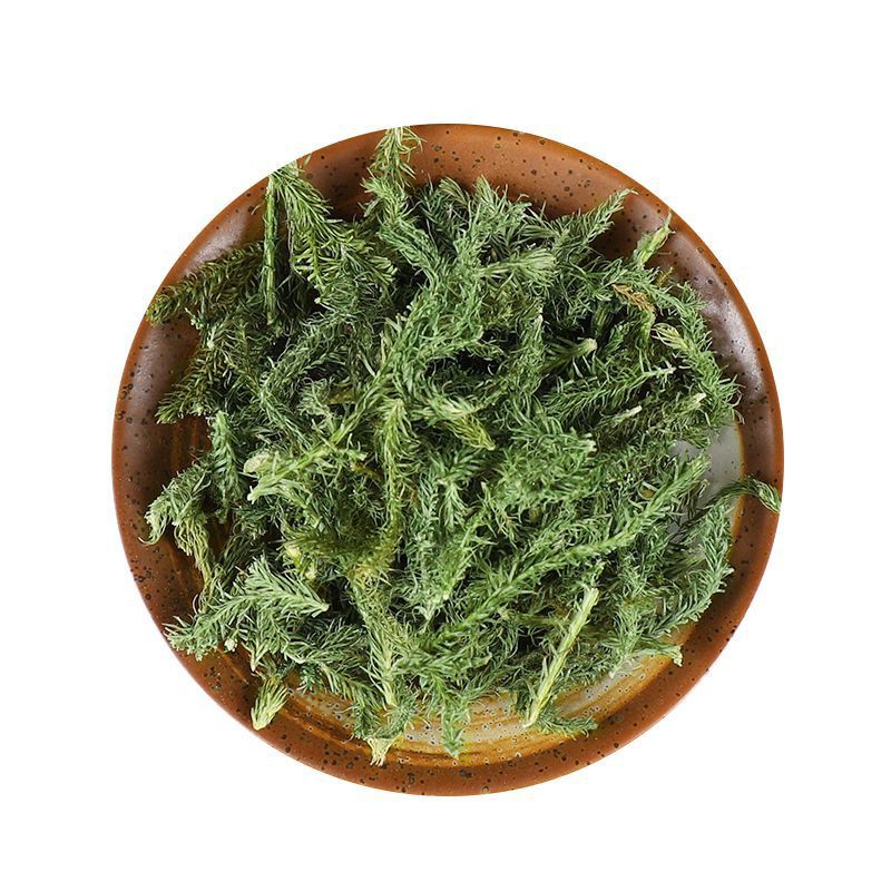 伸筋草伸筋草