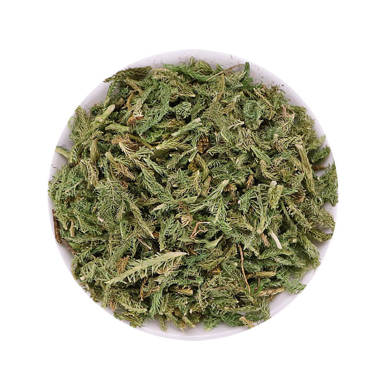 伸筋草伸筋草