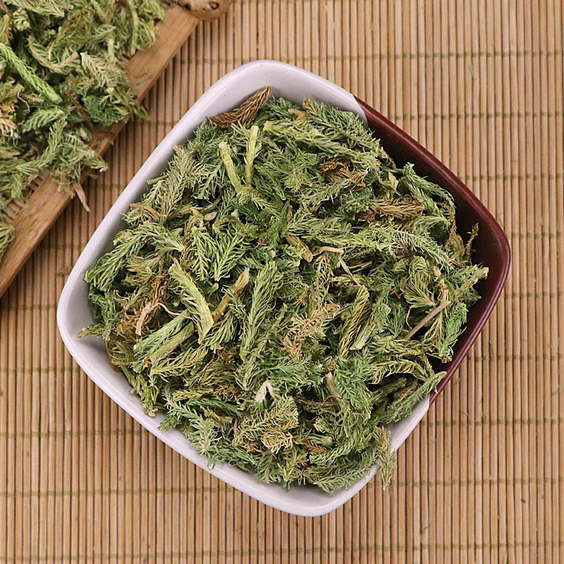 伸筋草伸筋草