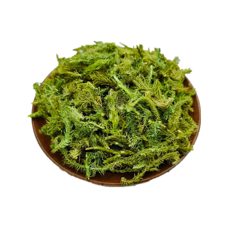 伸筋草伸筋草