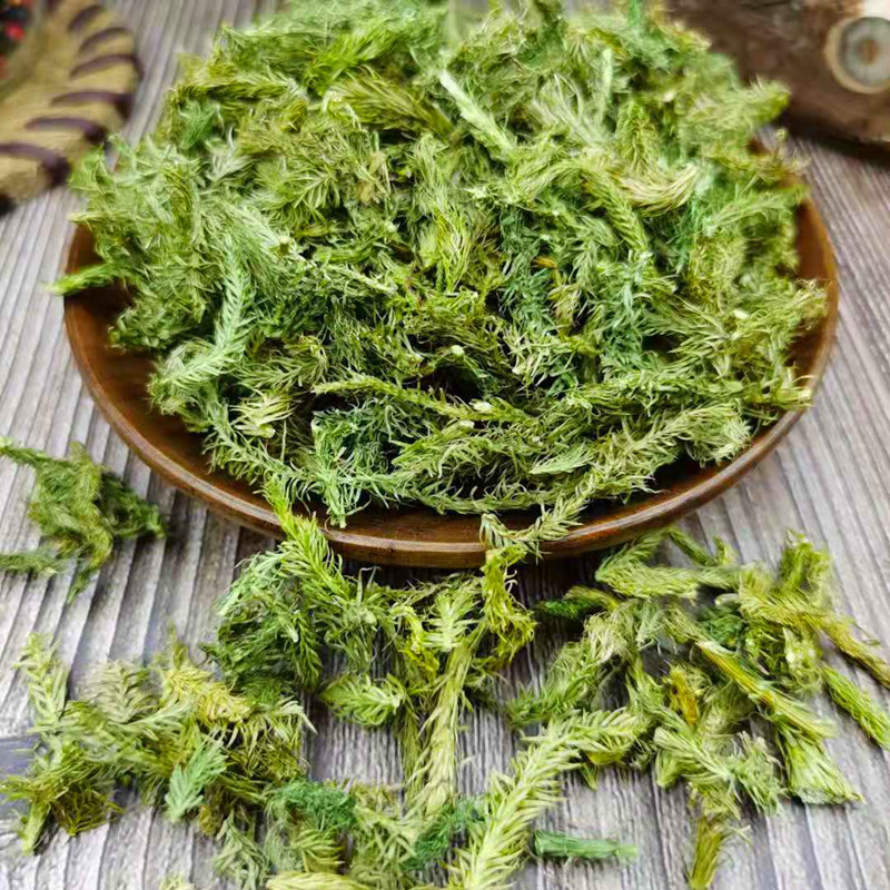 伸筋草伸筋草