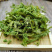 伸筋草伸筋草