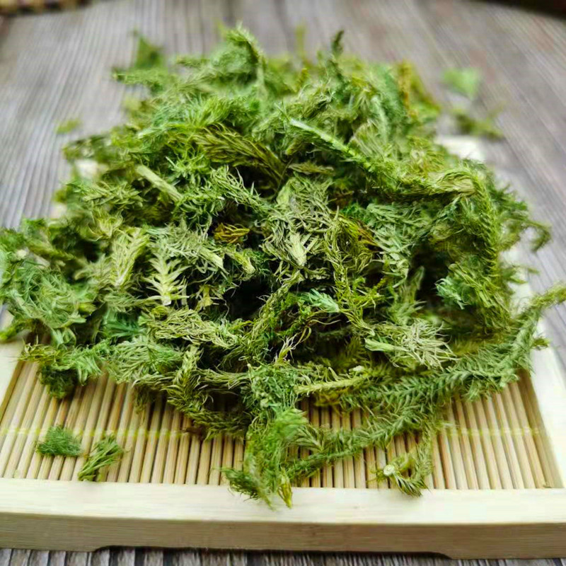 伸筋草伸筋草
