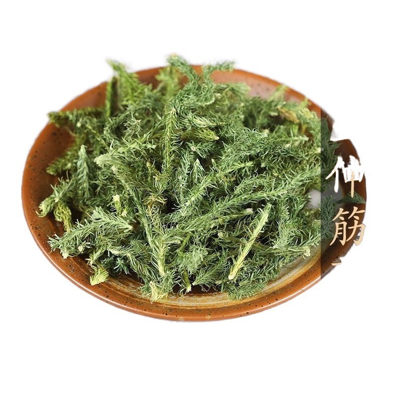 伸筋草伸筋草