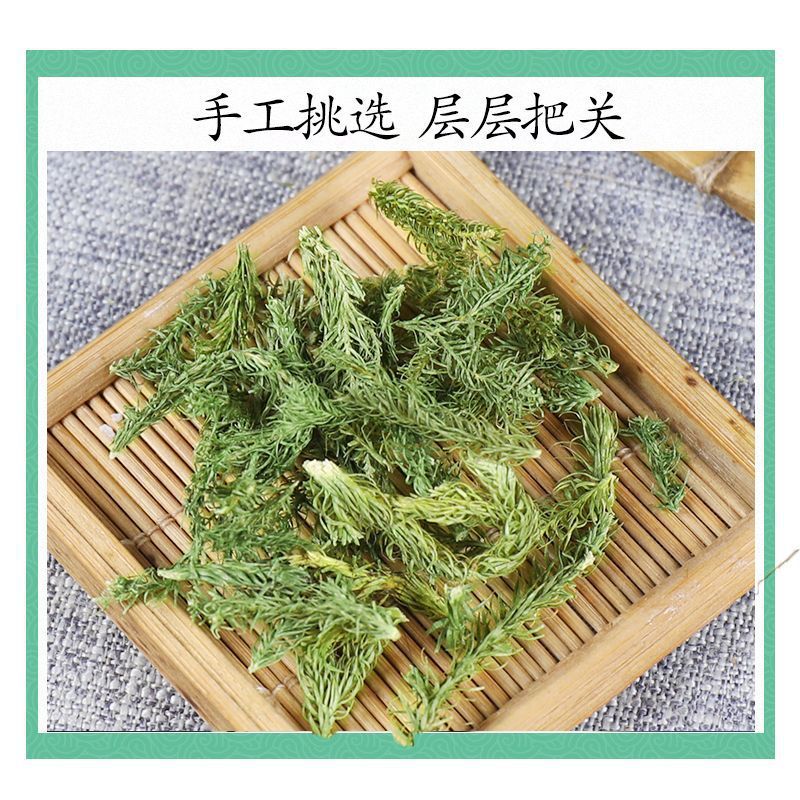 伸筋草伸筋草