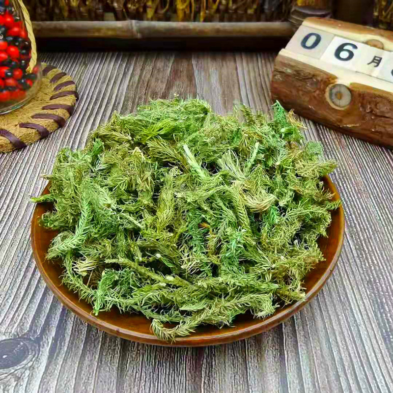 伸筋草伸筋草