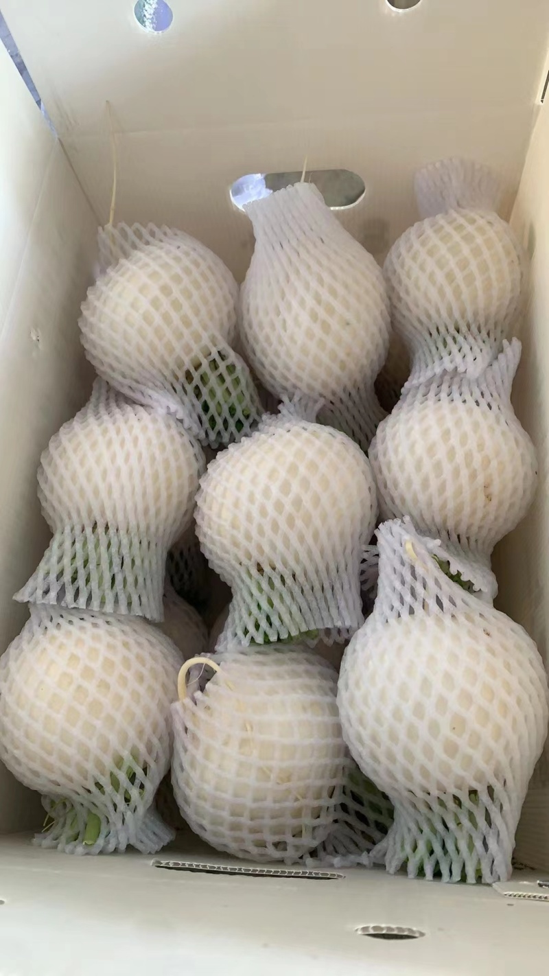 【推荐】湖北圆萝卜供应市场商超电商量大价优