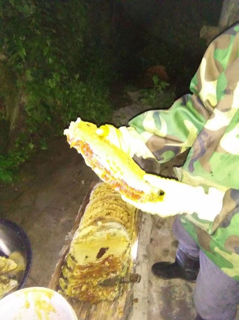 川绵土蜂蜜