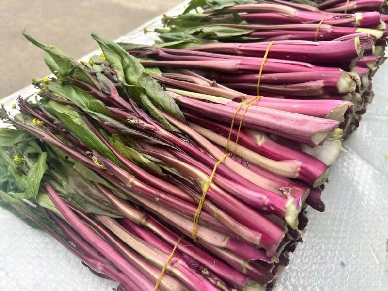 【推荐】湖北红菜苔供应市场商超电商量大价优