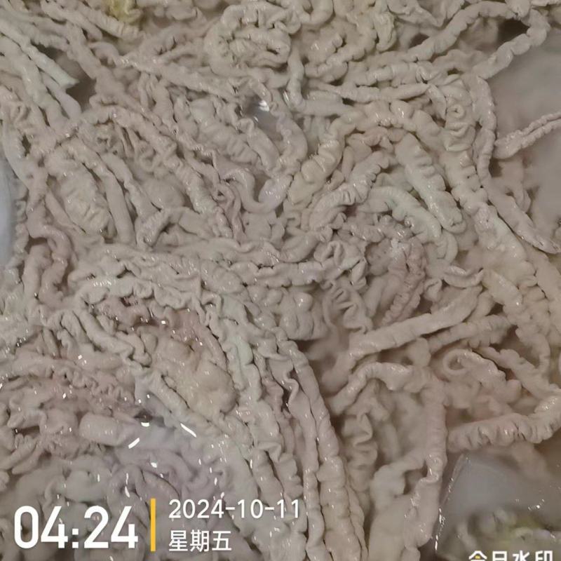 批发预煮大肠