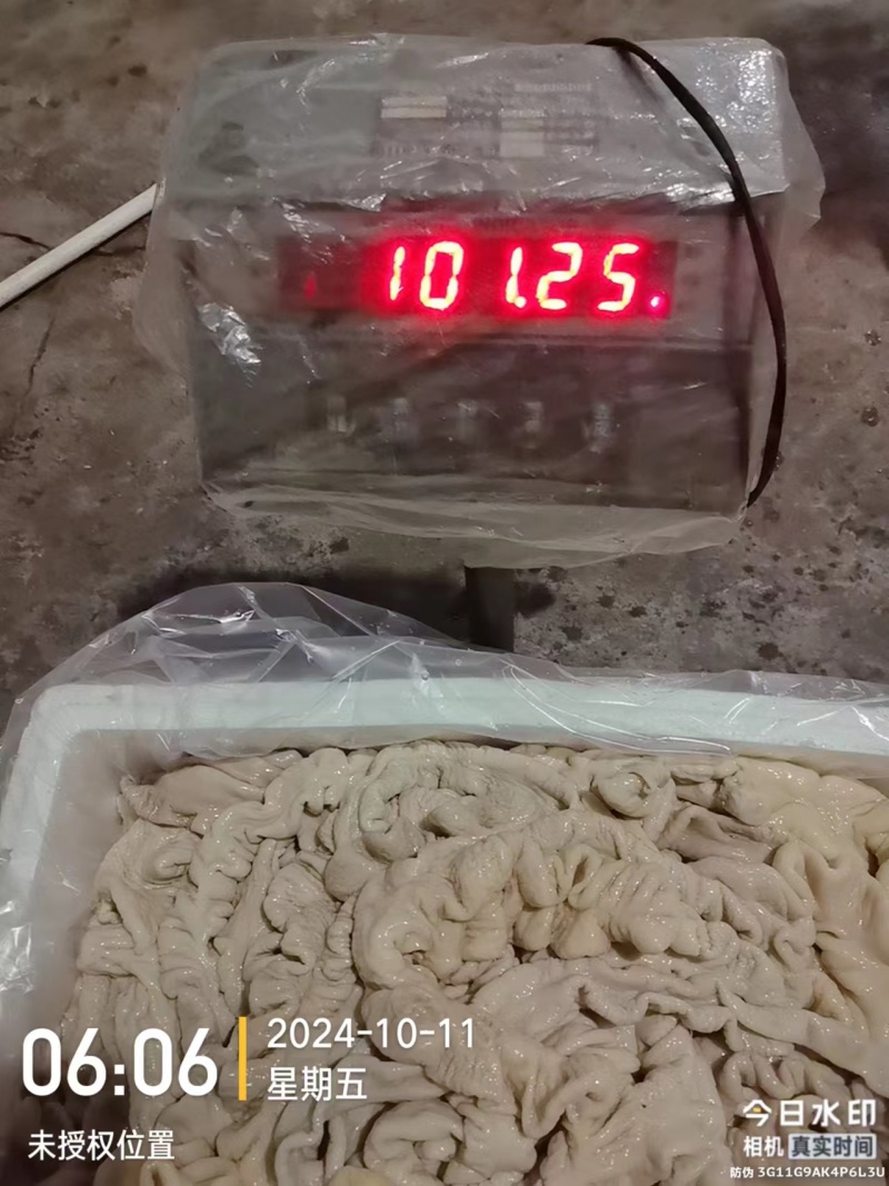批发预煮大肠